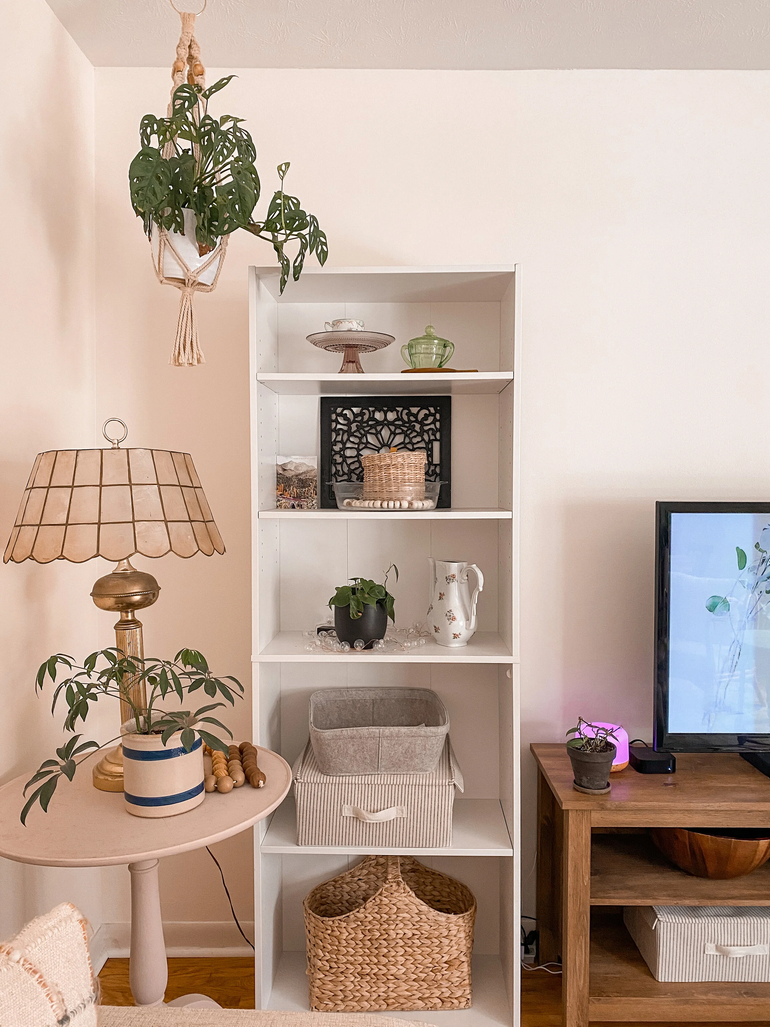 Birch 2024 lane bookshelf